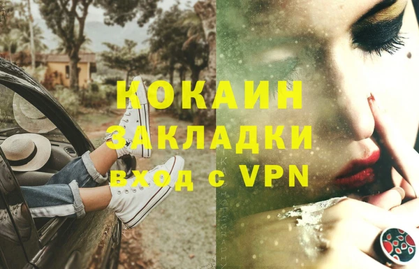 дживик Касимов