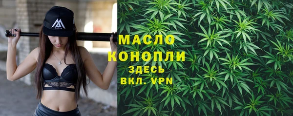 дживик Касимов