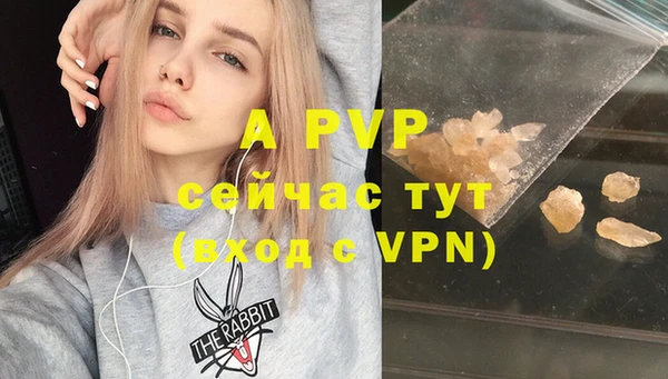 дживик Касимов
