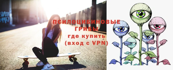 дживик Касимов