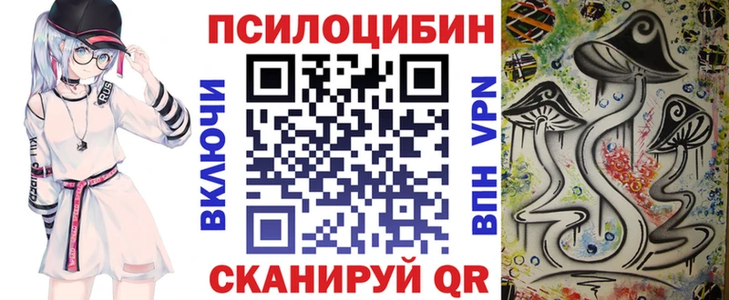 Купить закладки  Заозёрск  Псилоцибиновые грибы прущие грибы 